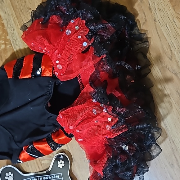 Paw Patu 🆕️ Lady Bug Dog Costume S - Picture 8 of 15